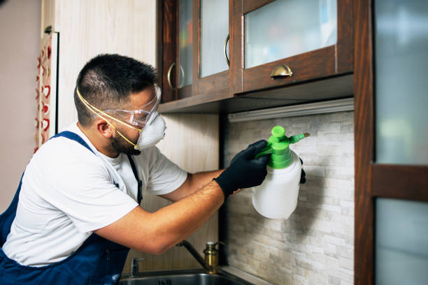 Wildlife Control Services in Estero, FL
