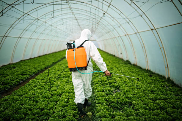 Best Mosquito Control Services  in Estero, FL