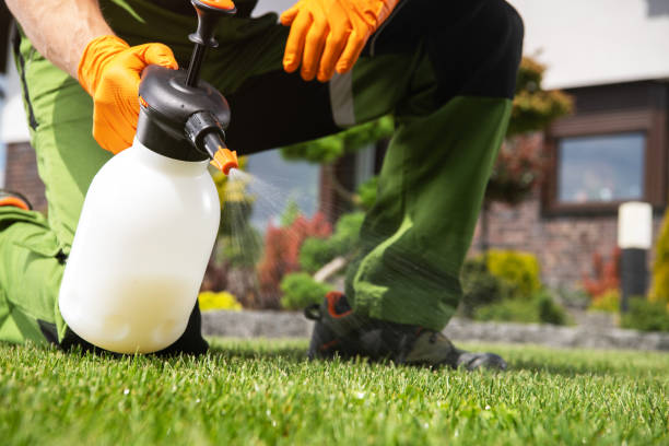 Best Wasp Removal Services  in Estero, FL