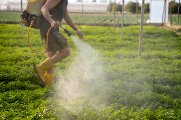 Best Exterminator Services  in Estero, FL