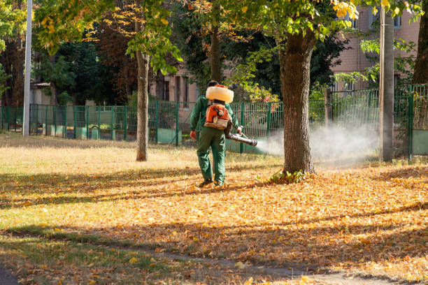 Wasp Removal Services in Estero, FL