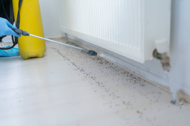 Best Pest Control for Businesses  in Estero, FL