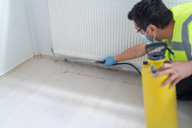 Best Emergency Pest Control  in Estero, FL