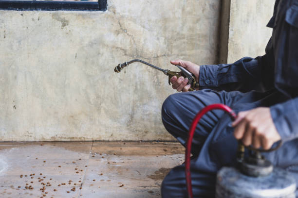Best Emergency Pest Control  in Estero, FL