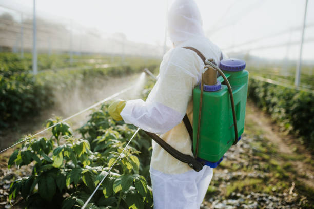 Best Pest Control Near Me  in Estero, FL